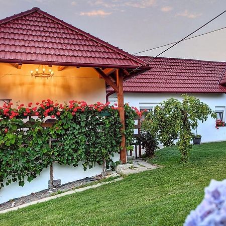 Holiday Home Rojko Strigova Экстерьер фото