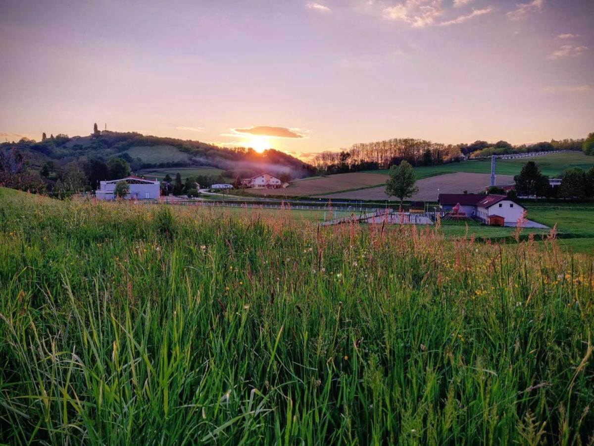 Holiday Home Rojko Strigova Экстерьер фото